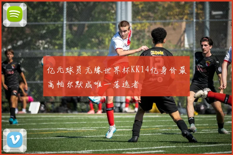 亿元球员无缘世界杯KK14亿身价最高帕尔默成唯一落选者
